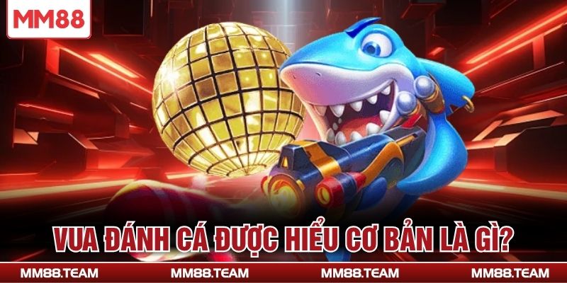 Vua đánh cá được hiểu cơ bản là gì?